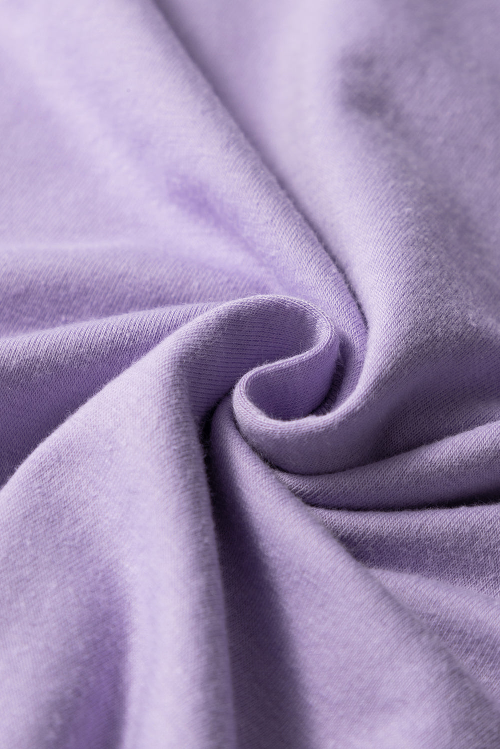 Wisteria Casual Plain Crew Neck Top